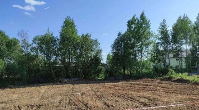 земля р-н Заягорбский ул Кедровая фото