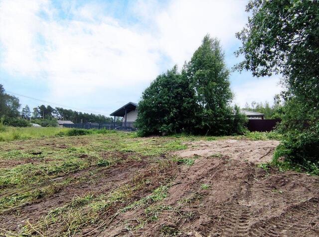 п Соколинское ул Мельничная Советское городское поселение, Выборг фото