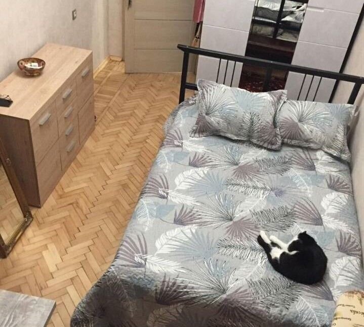 комната г Пушкин р-н Пушкинский ул Железнодорожная 12 фото 5