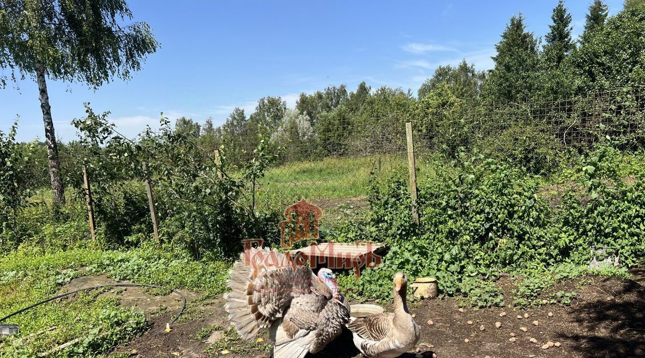 дом г Сергиев Посад д Барканово 1Б, Сергиево-Посадский городской округ фото 28