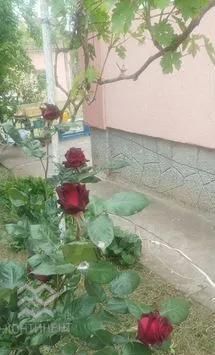 дом г Саки снт Пчёлка ПК фото 9