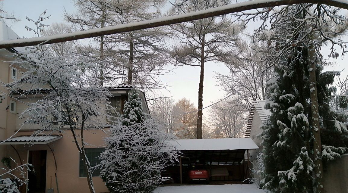 дом р-н Всеволожский г Всеволожск Ладожская фото 7