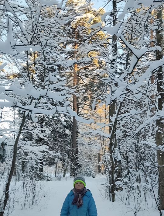 дом р-н Всеволожский г Всеволожск Ладожская фото 15