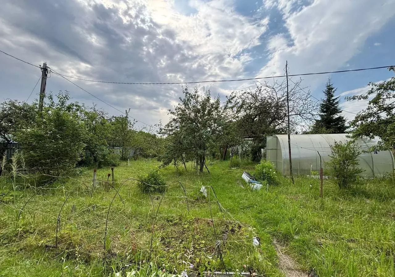 земля городской округ Богородский г Ногинск снт Ямские леса 40 км, 69, Горьковское шоссе фото 1