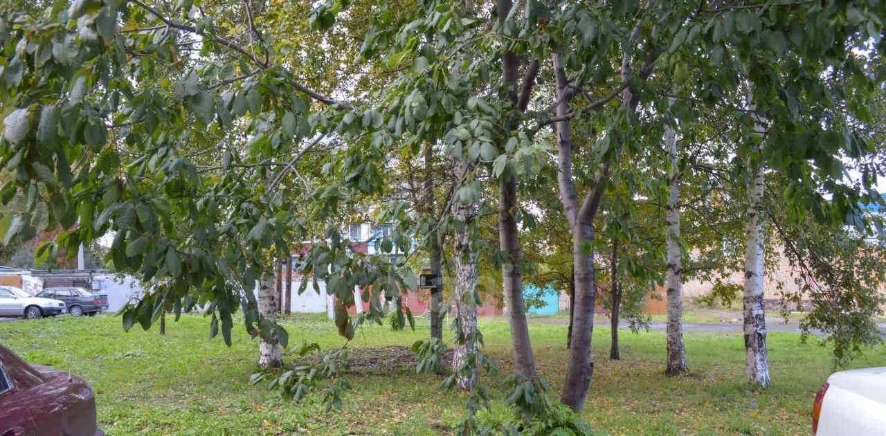 квартира г Прокопьевск р-н Рудничный ул Советов 11 фото 37