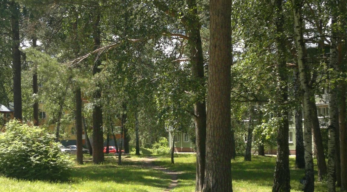 квартира г Новосибирск р-н Советский Академгородок ул Жемчужная 22 фото 1