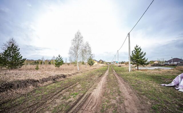 ул Алмаза Сафина Бердское шоссе фото
