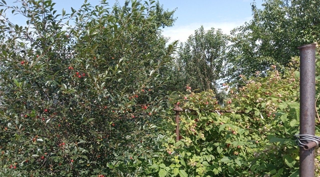 дом г Екатеринбург тер Садоводческое товарищество Геолог Проспект Космонавтов, 38, Медик-2 фото 4