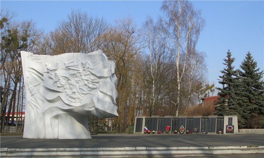 квартира р-н Гурьевский г Гурьевск пер Байдукова жилые дома фото 18