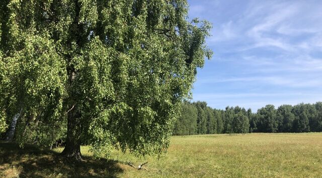 земля д Малое Терюшево фото
