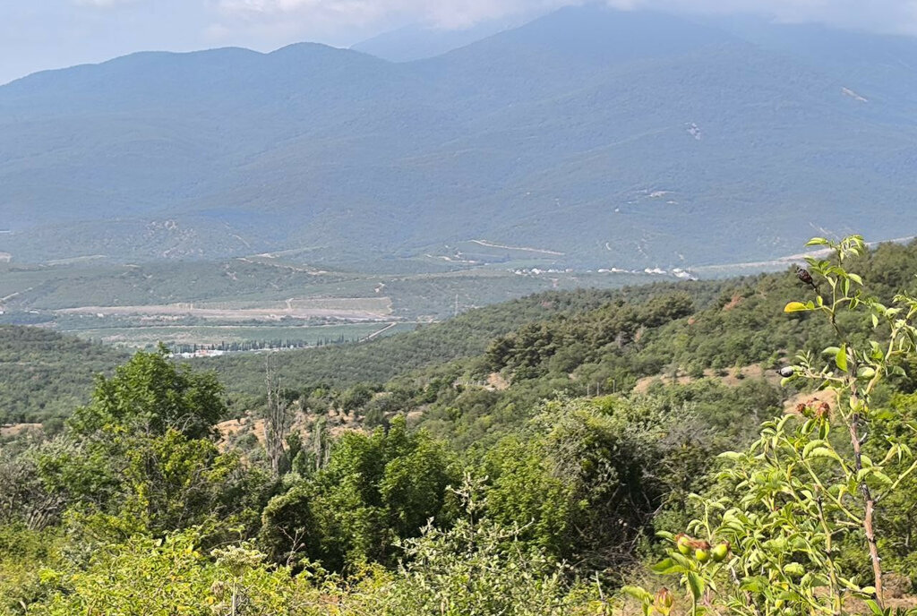 земля г Алушта с Лучистое фото 1