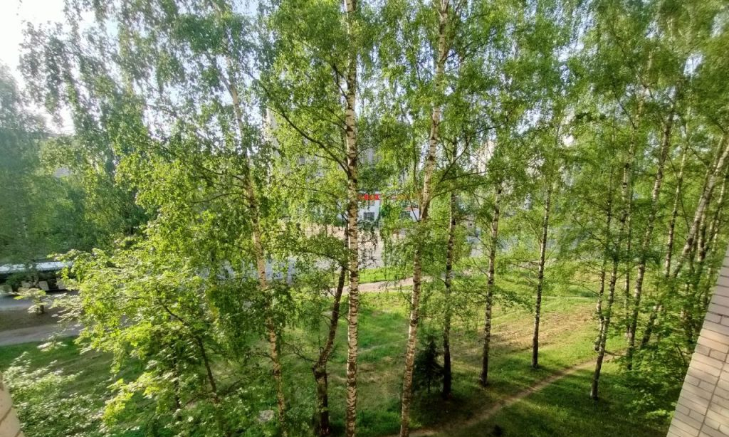 квартира г Кострома Паново ул Самоковская 5 м-н фото 17