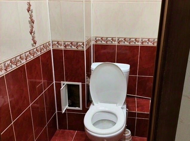 квартира г Арзамас Лесной ул. Кленовая, 8, д. Березовка фото 6