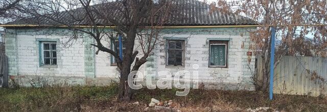 ул Димитрова 14 фото