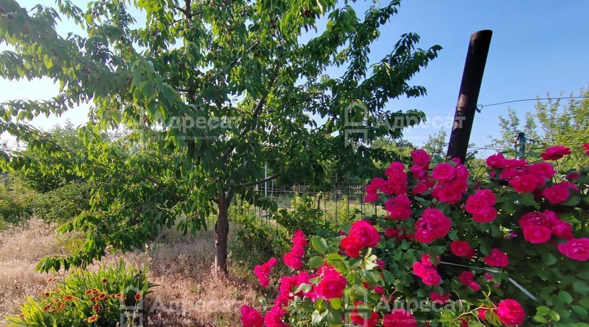 дом г Волгоград р-н Тракторозаводский снт тер.Север фото 15