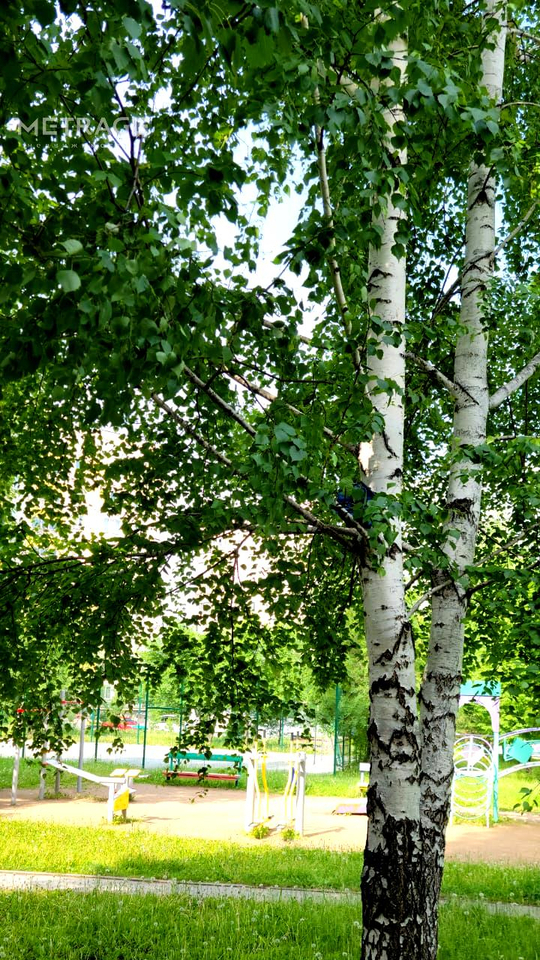 квартира г Новосибирск Снегири ул Красных Зорь 5 фото 19