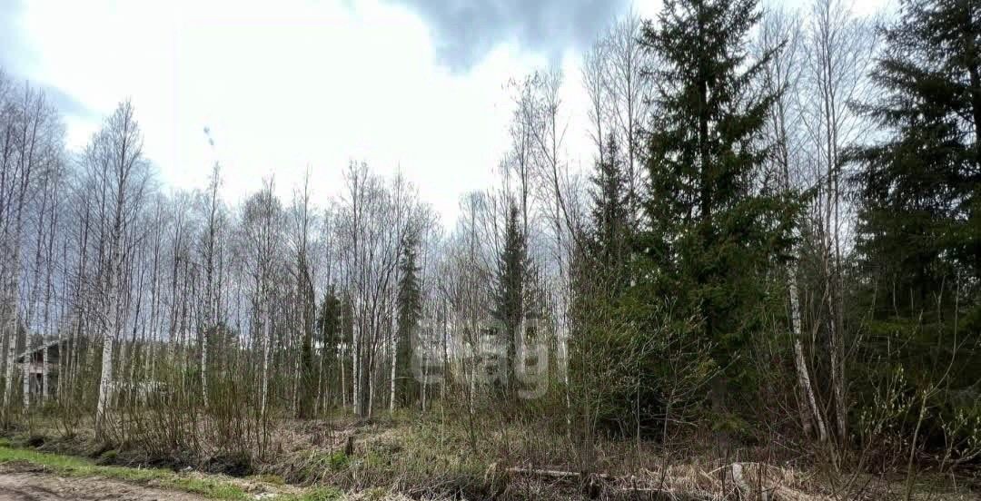 земля г Сыктывкар снт тер ЧовскоеЧовские зори Човское тер. фото 4