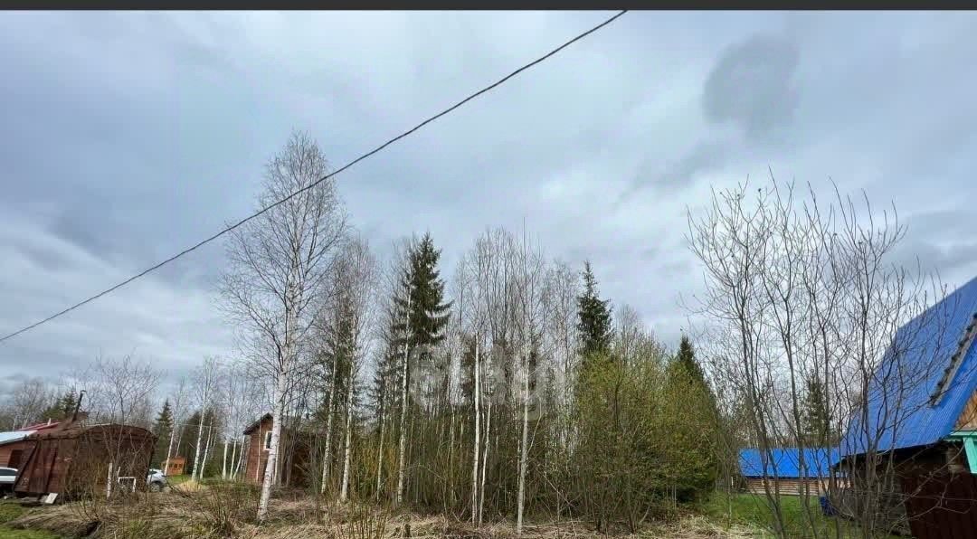 земля г Сыктывкар снт тер ЧовскоеЧовские зори Човское тер. фото 5