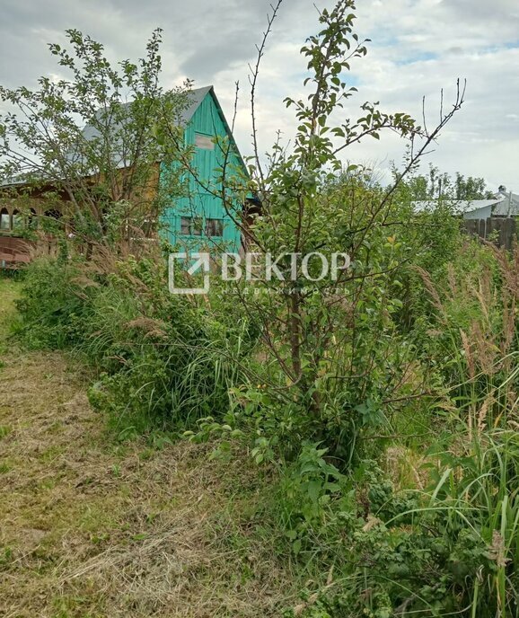 дом г Кострома некоммерческое садоводческое товарищество Берёзка-3, 74 фото 6