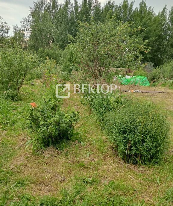 дом г Кострома некоммерческое садоводческое товарищество Берёзка-3, 74 фото 12