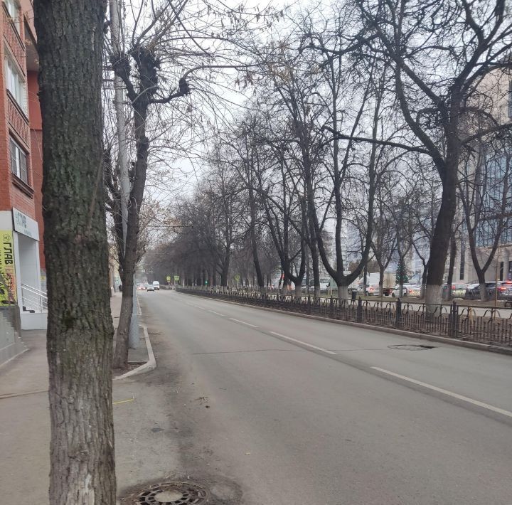 свободного назначения г Рязань р-н Октябрьский ул Есенина 43 фото 8