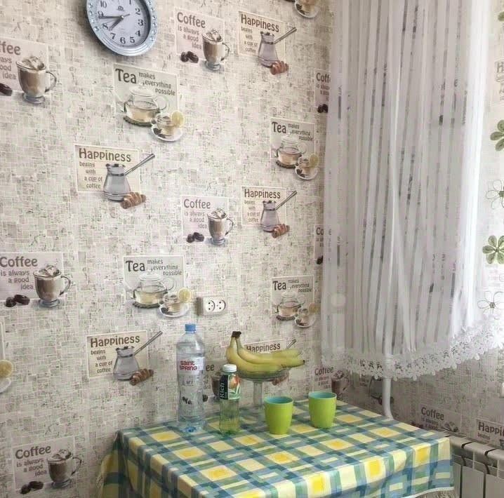 квартира г Новосибирск Заельцовская ул Дуси Ковальчук 266/5 фото 5
