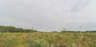 р-н Центральный фото