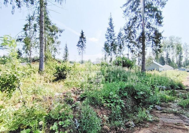 снт Петровское 58 км, Наро-Фоминский г. о., Наро-Фоминск, Киевское шоссе фото