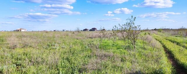 земля ул Красноармейская фото