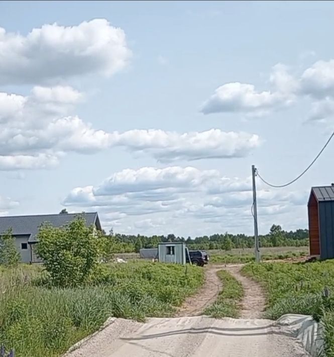 земля г Бор д. Елисино, 3А фото 2