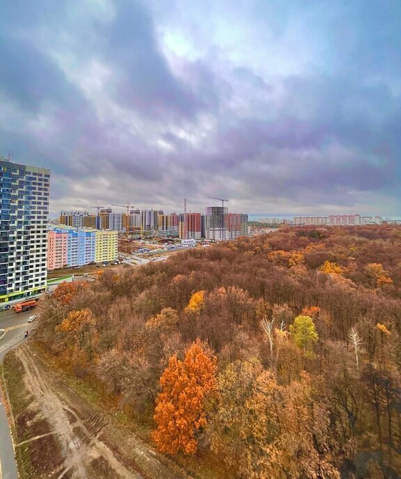 квартира г Воронеж квартал Троицкий ЖК «Олимпийский» 3 фото 3