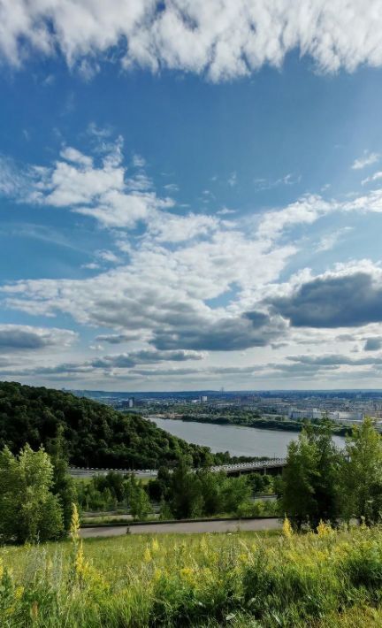 квартира г Нижний Новгород Горьковская ул Маршала Баграмяна 4 фото 12