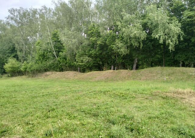 Окское сельское поселение, садоводческое товарищество Колос, Рязань фото