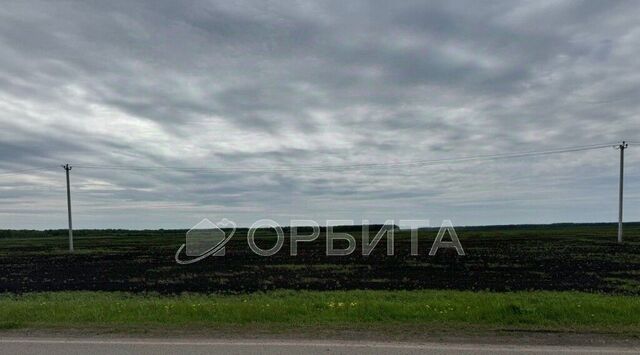 ул Первоцветная фото