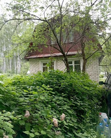 снт Тюльпан 56, Дальнее Константиново фото