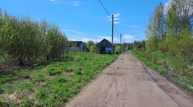 д Озерки муниципальное образование, Чудские ДНП фото