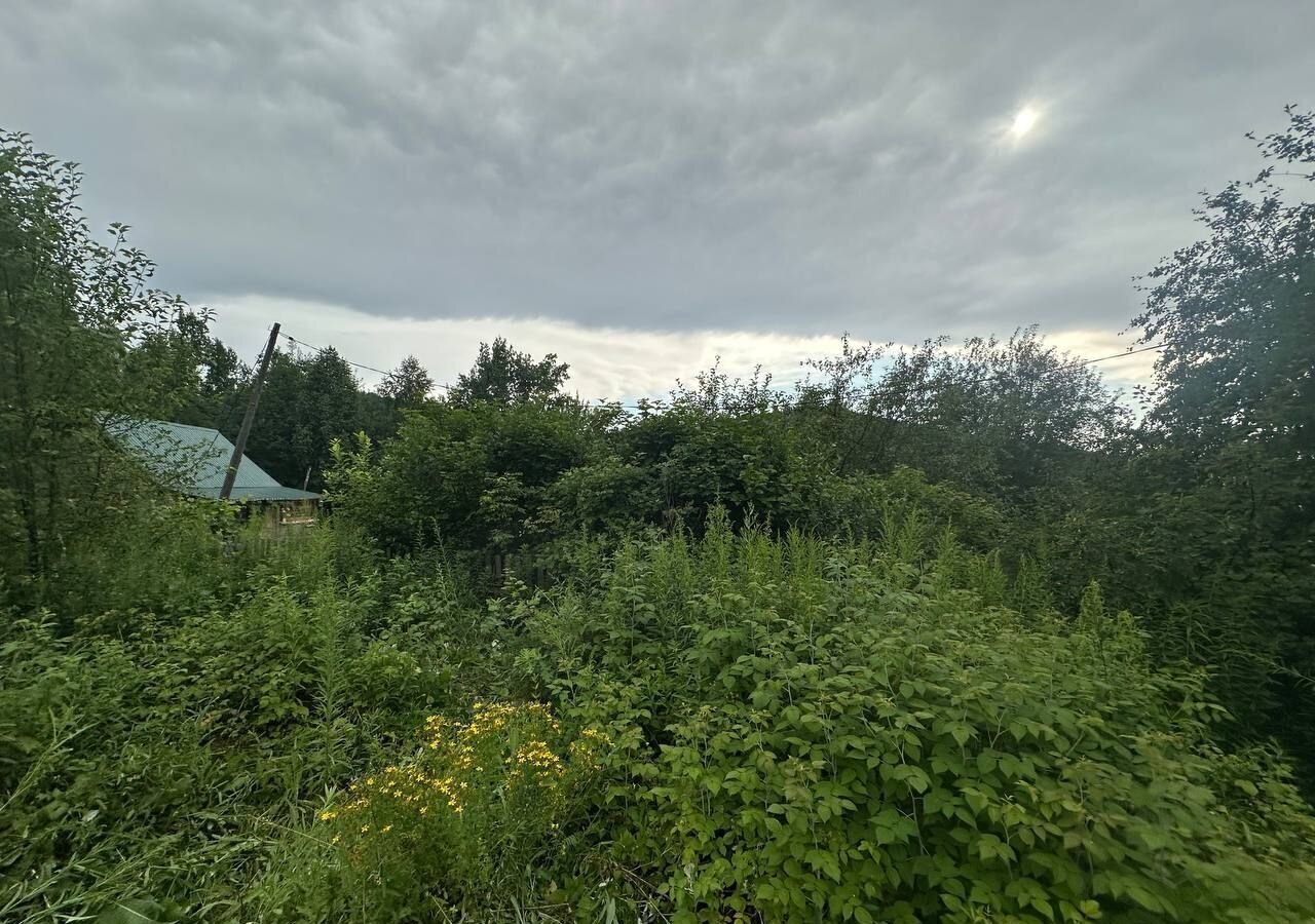 земля г Междуреченск снт Знамя Шахтера Кемеровская обл. — Кузбасс, Пихтовая линия, 281 фото 5