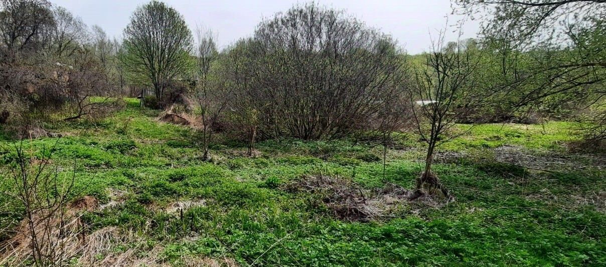 земля г Владимир р-н Фрунзенский снт Родники 30 фото 1
