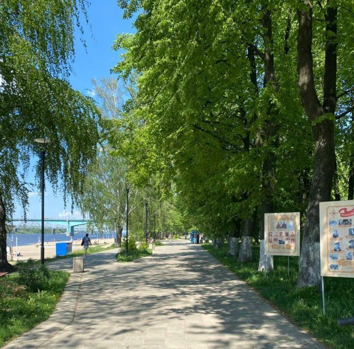 квартира г Ярославль р-н Заволжский пр-кт Авиаторов 6 фото 19