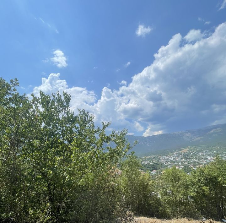 земля г Ялта фото 4
