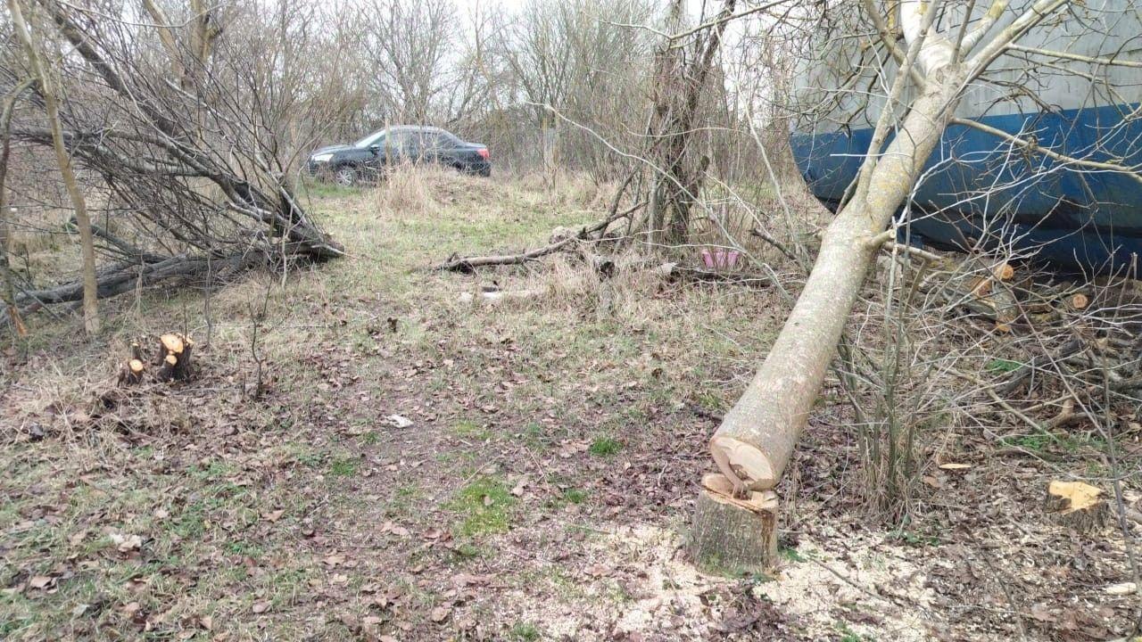 земля р-н Темрюкский г Темрюк Темрюкское городское поселение, СОТ «Стимул», Абрикосовая улица, 26 фото 7