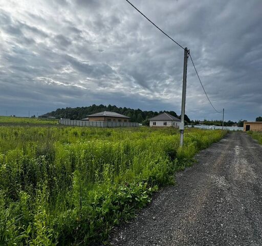 ул Весенняя 36 км, Дружба, Егорьевское шоссе фото