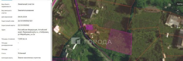 ул Жеребцова 2 фото