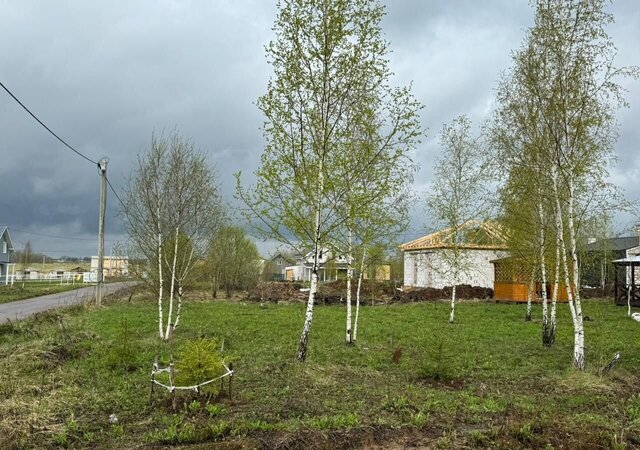 ул Ореховая 23 км, Носовихинское шоссе фото