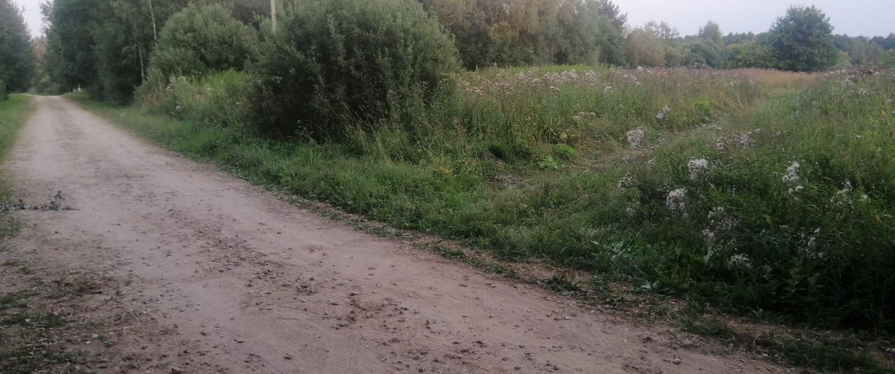земля городской округ Талдомский г Талдом 92 км, 2, д. Леоново, Дмитровское шоссе фото 3
