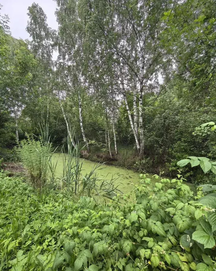 дом г Бор с Линда д Березовка (Кантауровский с/с) ул Центральная 12 фото 21