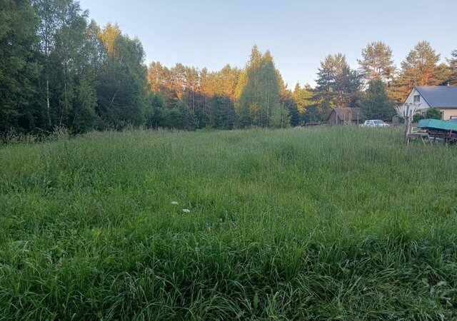 пгт Жарковский д Зеленьково пер Малый Западная Двина фото