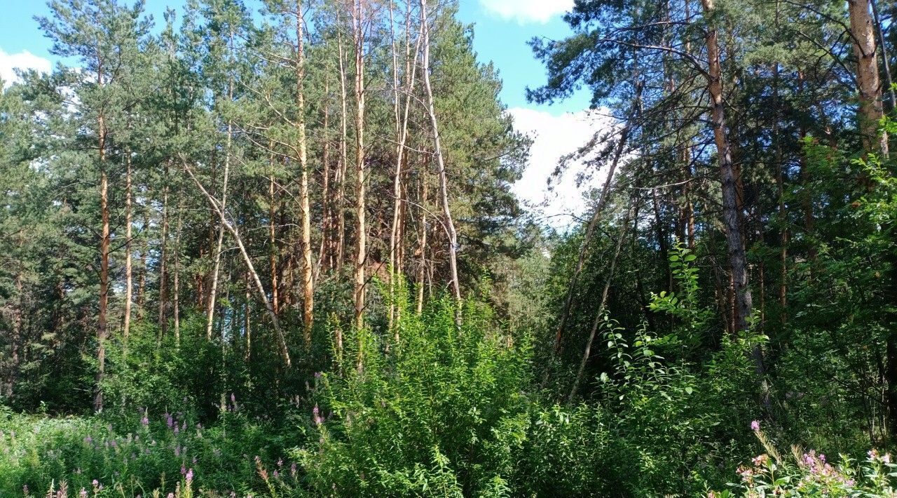 земля г Екатеринбург р-н Октябрьский Геологическая Усадьба-Лес ДНП фото 3