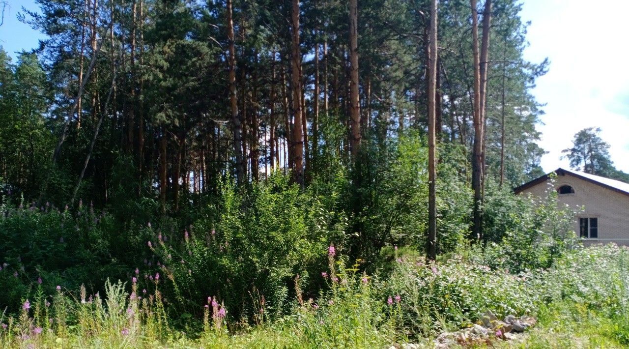 земля г Екатеринбург р-н Октябрьский Геологическая Усадьба-Лес ДНП фото 4