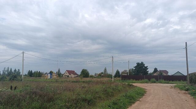 Шимское городское поселение, ул. Барская, д. Бор фото